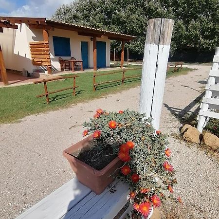 Agriturismo Oca Giuliva ليدو دي بيني المظهر الخارجي الصورة