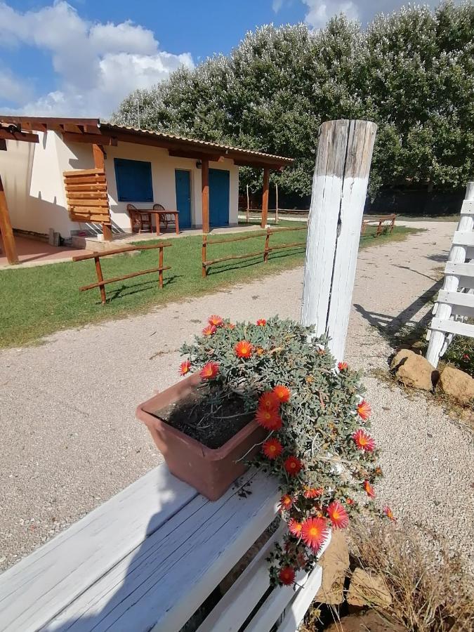 Agriturismo Oca Giuliva ليدو دي بيني المظهر الخارجي الصورة